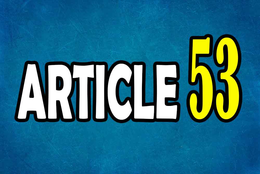 ARTICLE 53