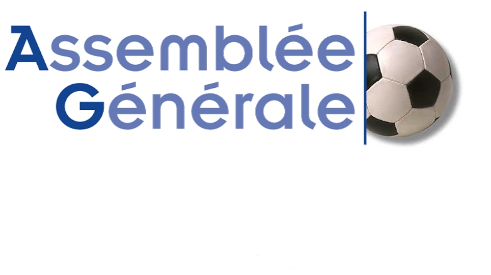 L'ASSEMBLEE GENERALE DE LA LIGUE