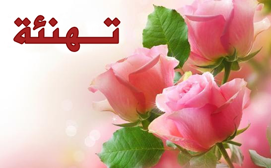 تهــــــاني